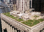 RooftopGarden